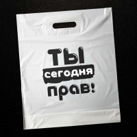 Ты сегодня прав. (50 пакетов в упаковке)